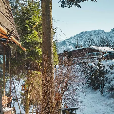 Lesne Zacisze - Na Uboczu Kościelisko