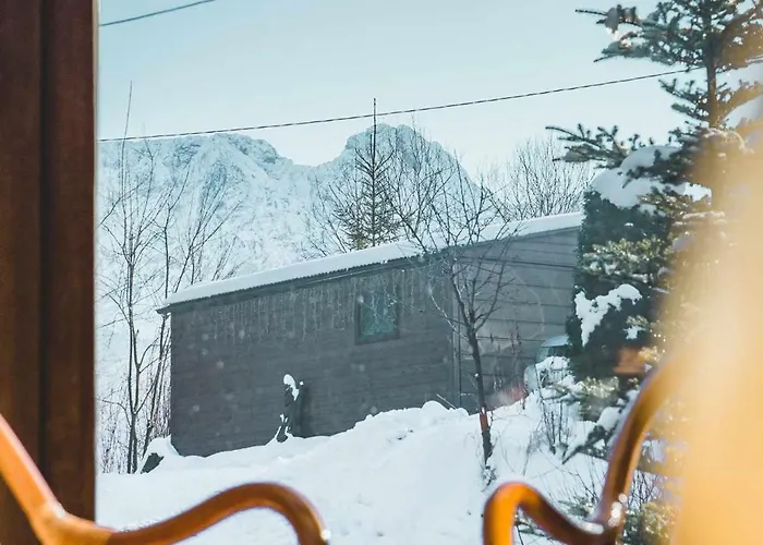 Lesne Zacisze - Na Uboczu Chalet Kościelisko